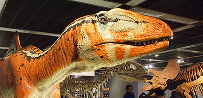 恐竜展 科学が解き明かす恐竜のすがた リポート 新潟の地域文化を紡ぎ繋げる 新潟文化物語