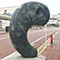 file-158　縄文時代に日本全土に広まった糸魚川の翡翠（前編）
