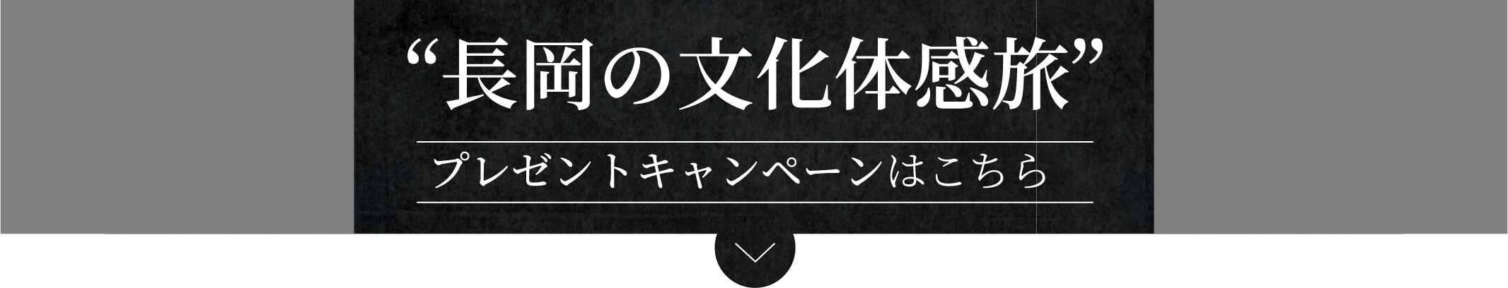 長岡プレゼントキャンペーンはこちら