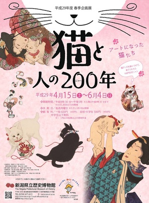 イメージ1