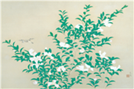 イメージ1