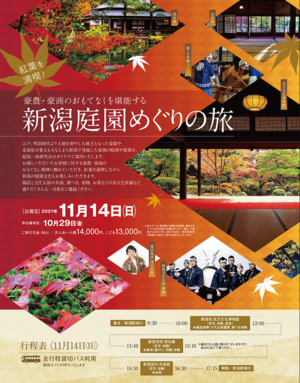 イメージ1