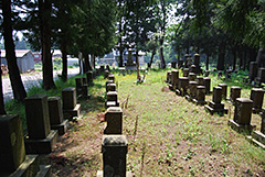 金谷山墓地