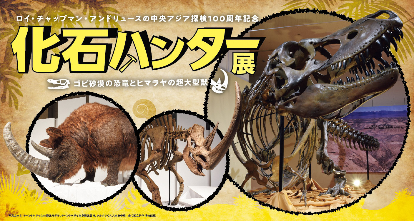 新潟県立万代島美術館「化石ハンター展～ゴビ砂漠の恐竜とヒマラヤの超大型獣～」