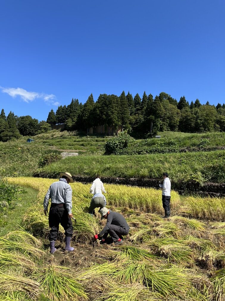 第50回　天空の棚田で昔ながらの田植えと稲刈りを体験する