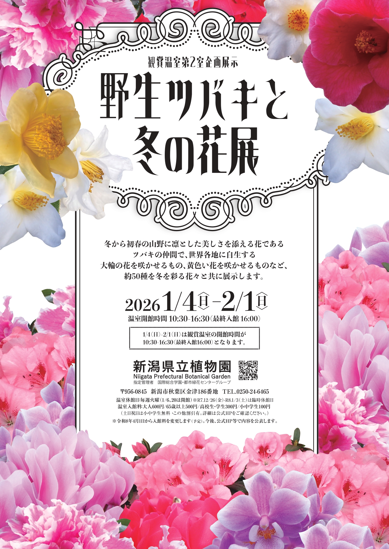 新潟県立植物園◎企画展示「野生ツバキと冬の花展」