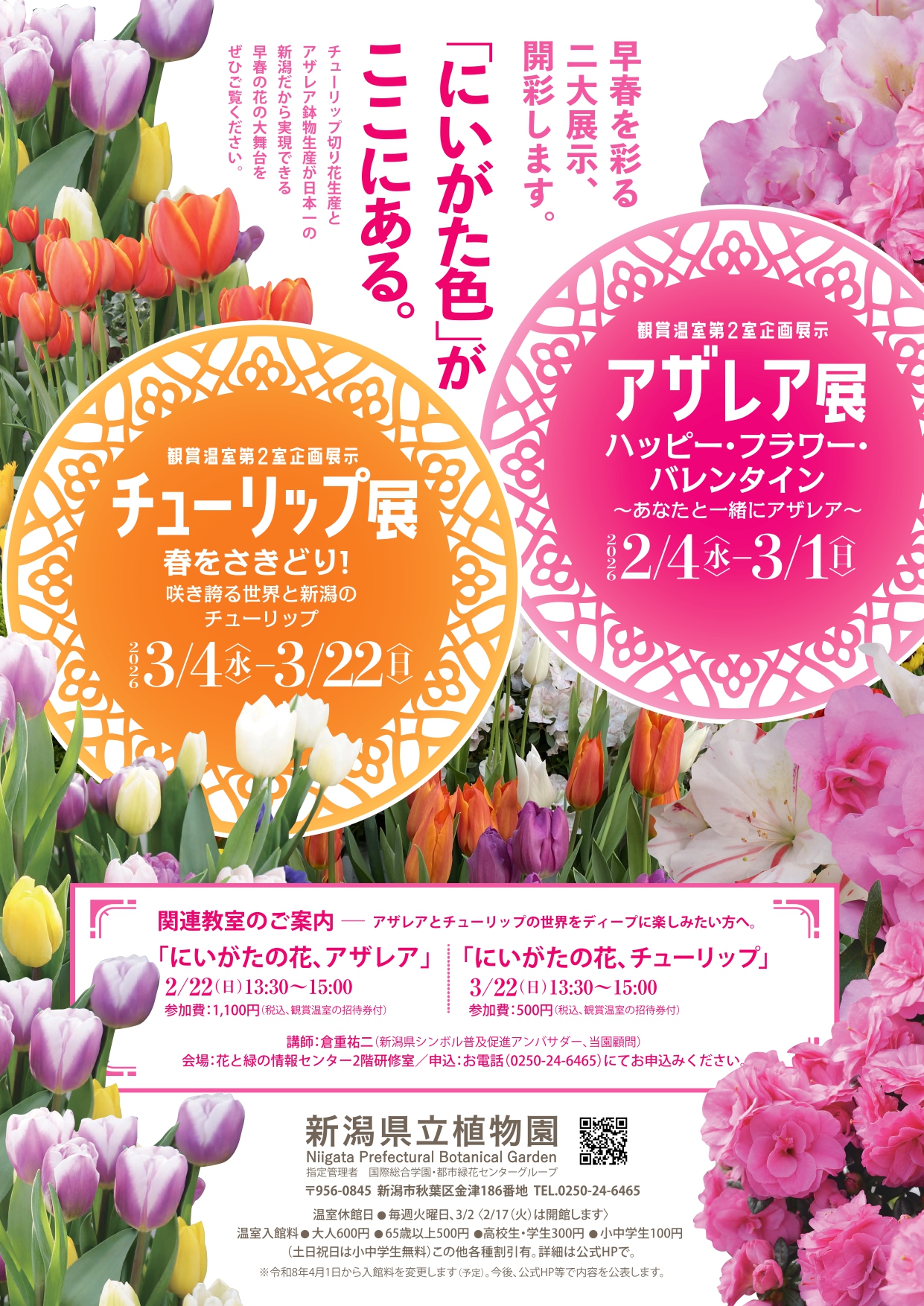 新潟県立植物園◎企画展示「ハッピー・フラワー・バレンタイン～あなたと一緒にアザレア～」
