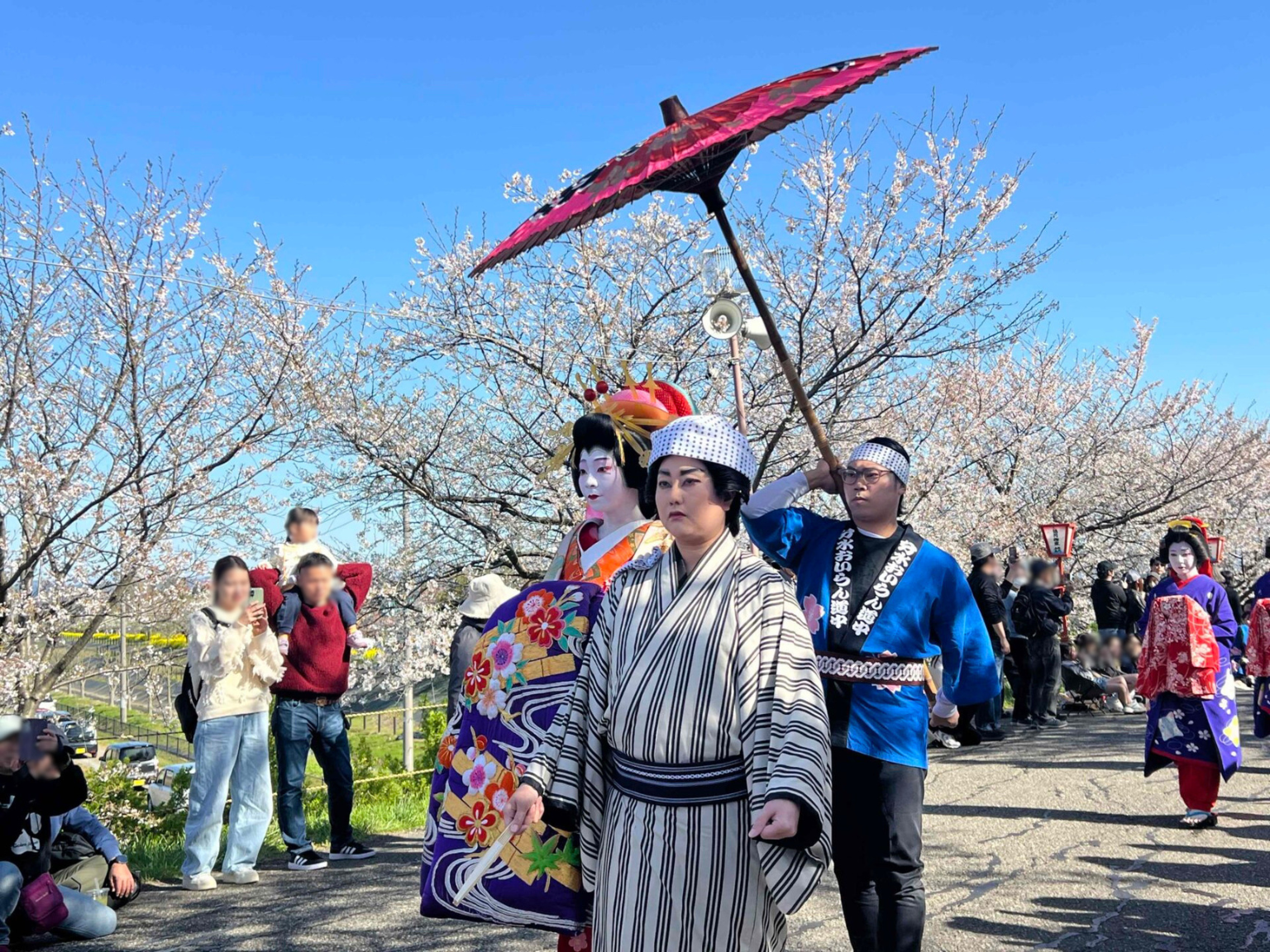 第52回　満開の桜並木を練り歩く！燕市の春の風物詩「分水おいらん道中」体験レポート