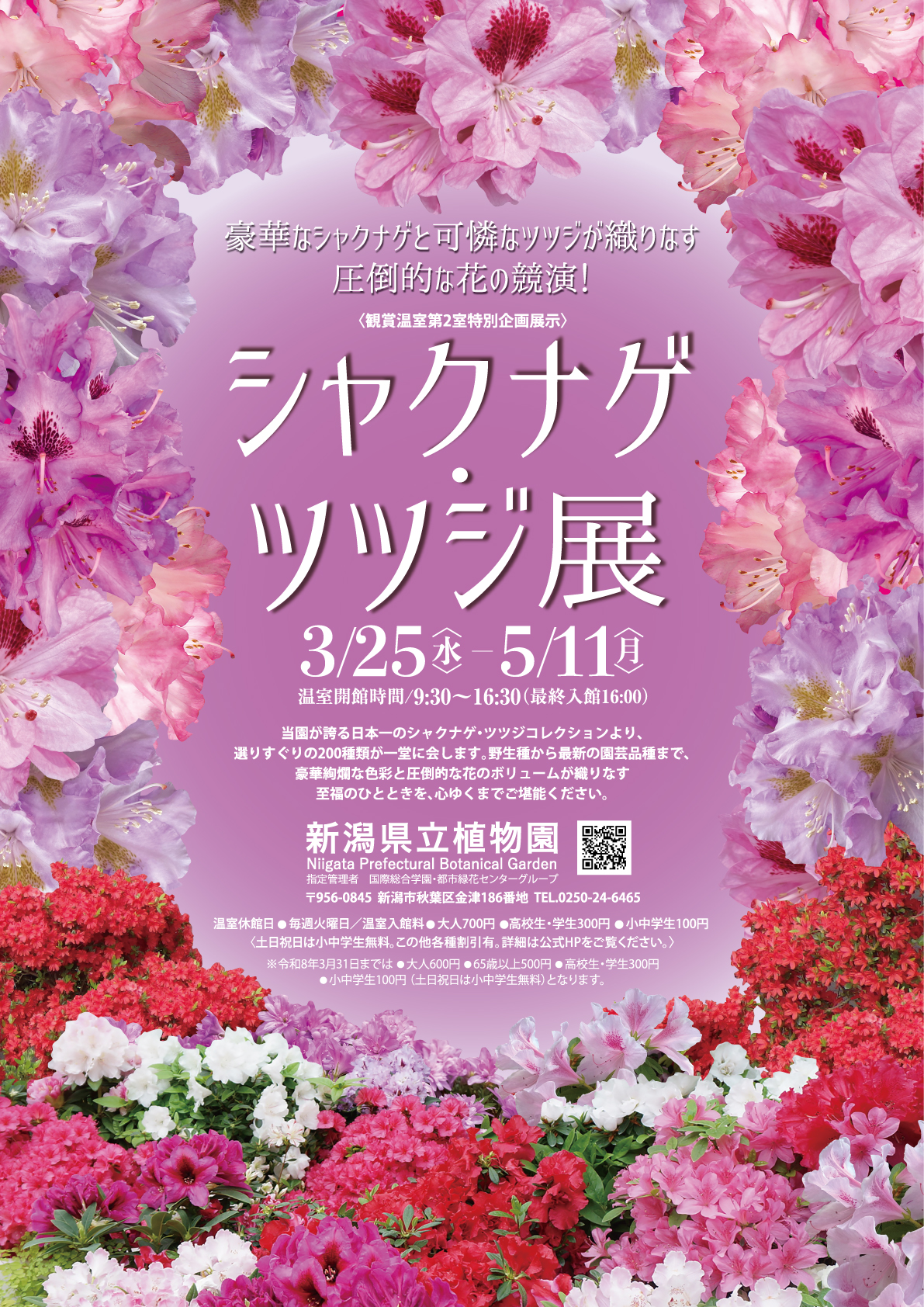新潟県立植物園◎企画展示「シャクナゲ・ツツジ展」