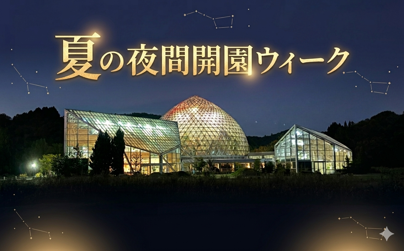新潟県立植物園◎夏の夜間開園ウィーク